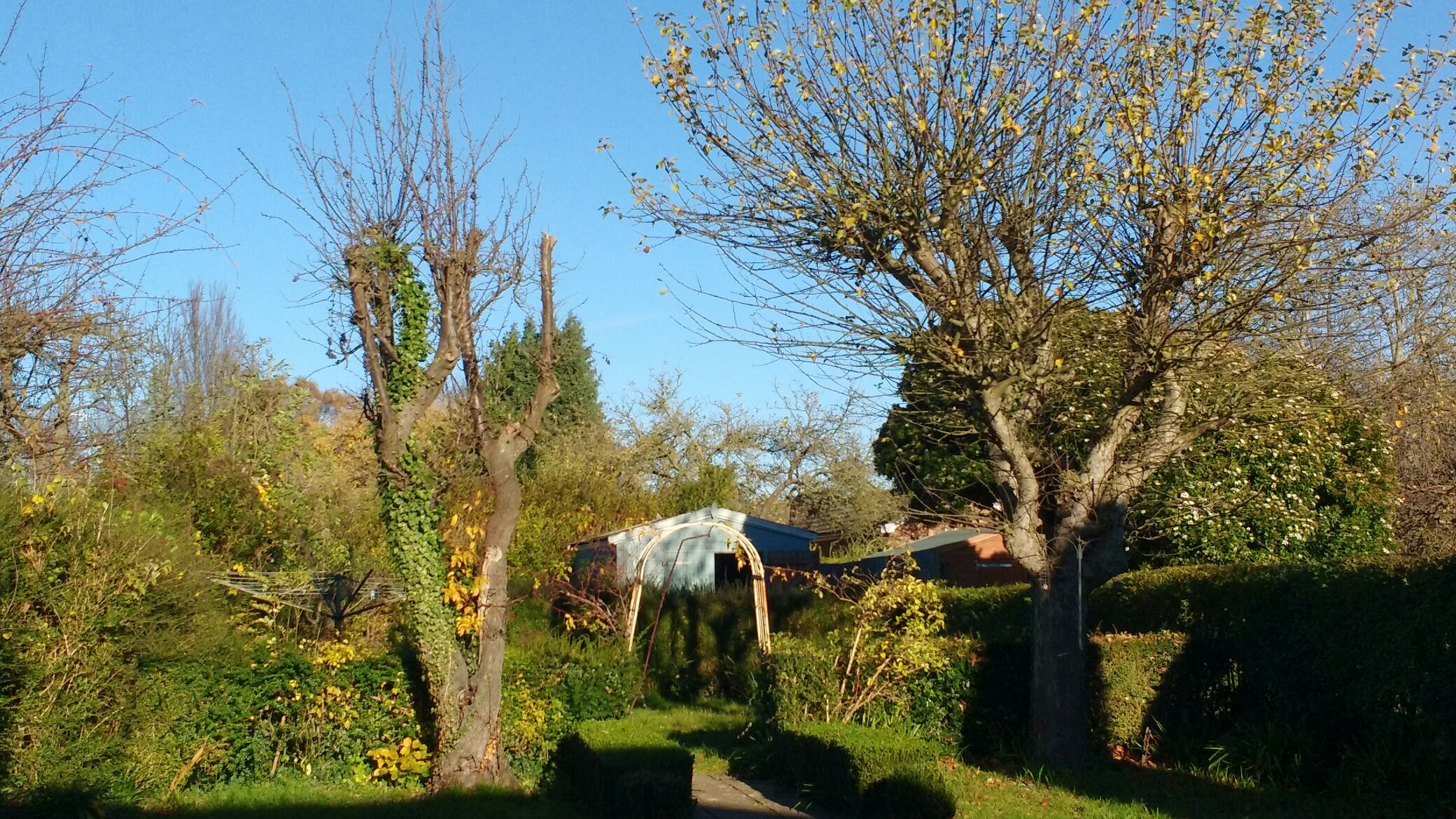 View on the garden behing the house