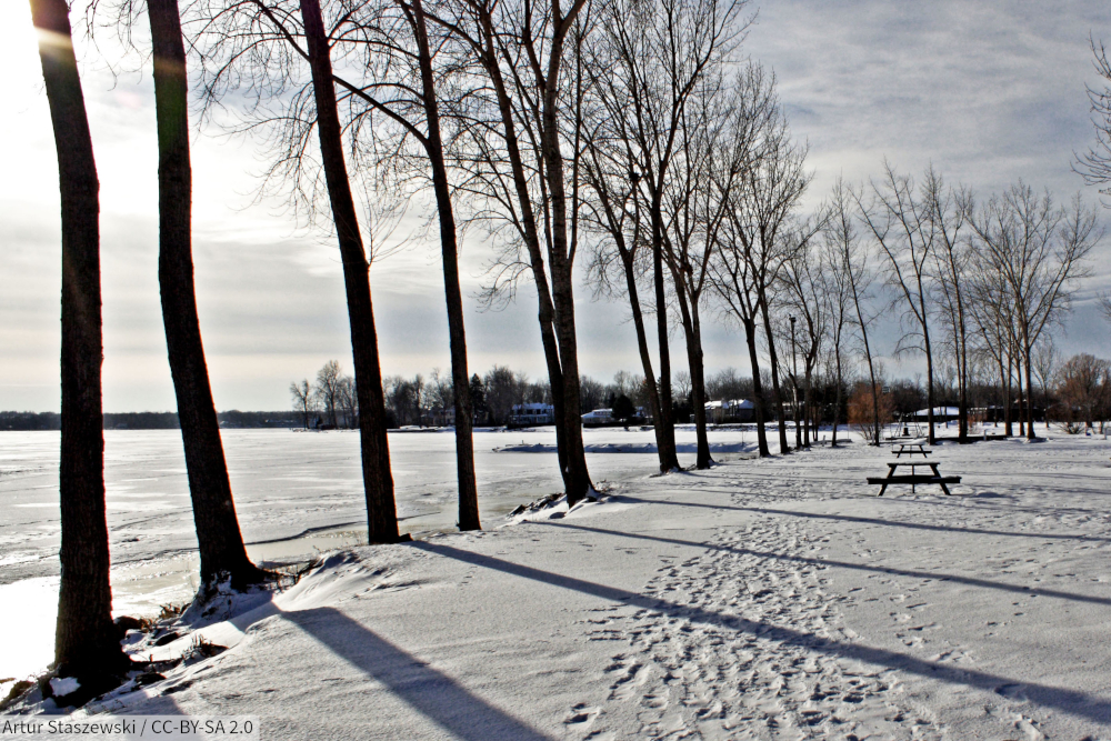 A picture of Montréal during the winter