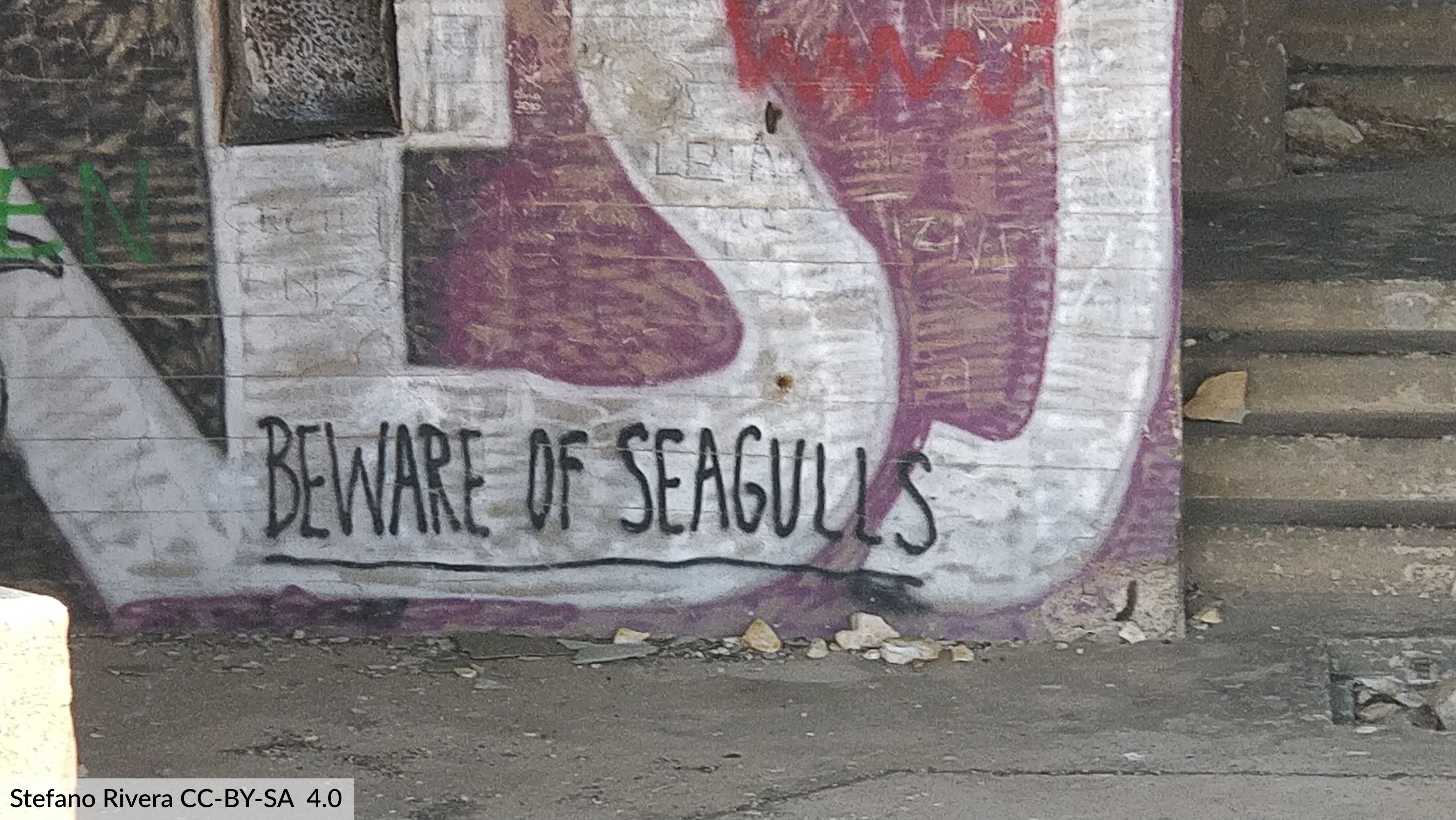 A grafiti in Frioul saying 'Beware of Seagulls'