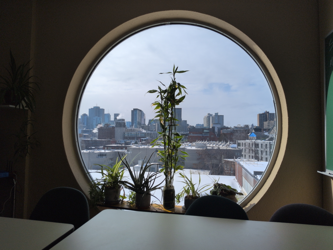 View from my office View from my office